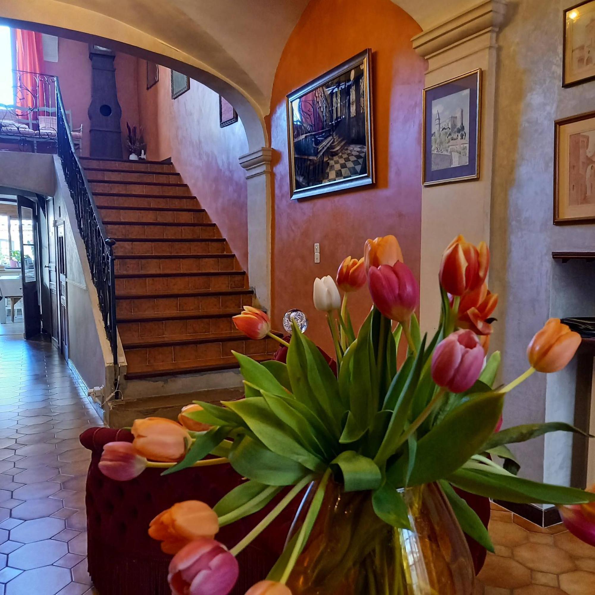 Maison D'Hotes Payan Champier Saint-Paul-Trois-Chateaux Exterior photo